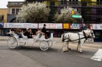 Guests enjoyed horse-drawn carriage rides throughout the streets of downtown Morristown.