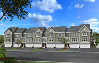 The Cypress Rendering