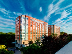 TRIO IN PALISADES PARK