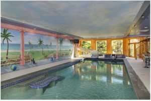 An indoor pool with a water slide has amural with images of Mr. Nugent's children, along with the family's dogs, cats, bird and pet rabbit. BOB O'CONNOR FOR THE WALL STREET JOURNAL