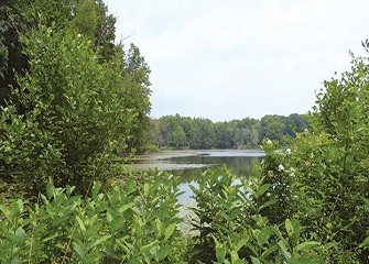 Madison Hawk to Auction Two Lender-Owned East Coast Residential&nbsp;Developments