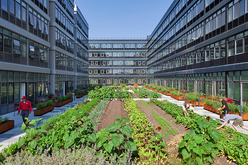 Ironstate’s Latest Development, URBY, Sets New Standard of Living With Urban&nbsp;Farm
